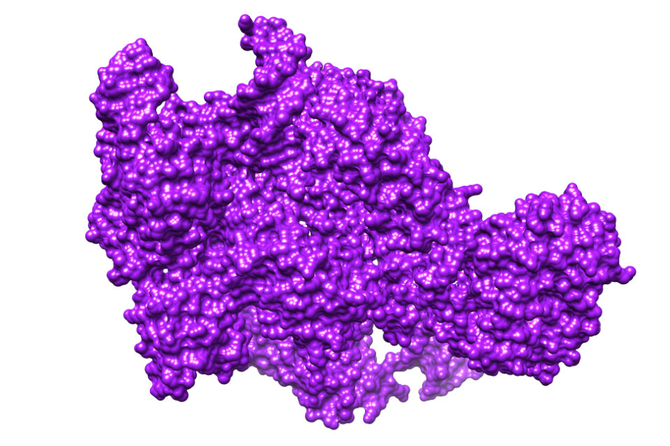 Read more about the article Gutes Arbeitsklima für Enzyme